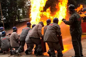 Brigadistas uniformizados combatem um foco de incêndio durante o treinamento.